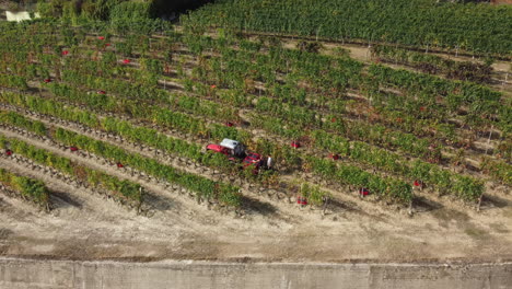 Landwirt,-Der-Weinberg-Mit-Traktormaschinen-Erntet