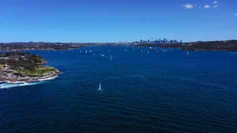aerial view of sydney harbor with sailboats and city skyline