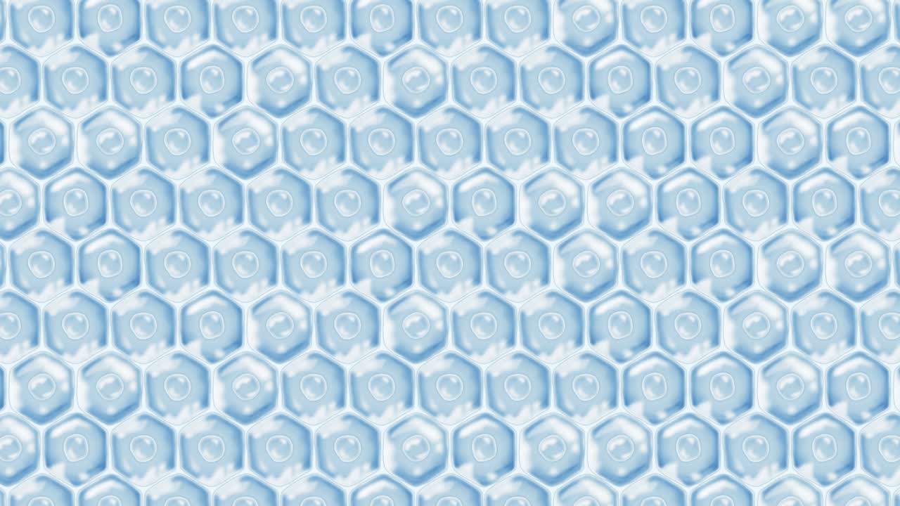 인간 피부 세포: 세포막을 가진 각 세포, 세포 치료, 질병 치료, 핵과 진공, 재생, 루프 애니메이션