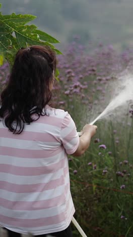 woman watering purple flowers in a field