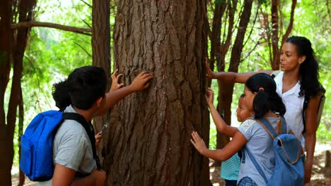 woman and kids examining tree trunk in park