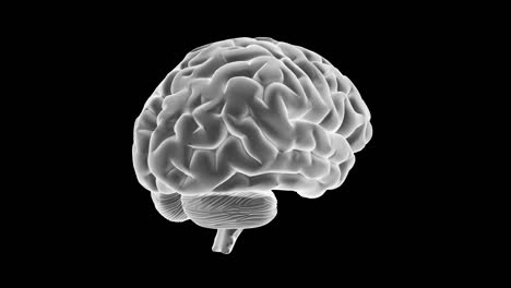 a 360-degree close-up view of the human brain against a black background - white.