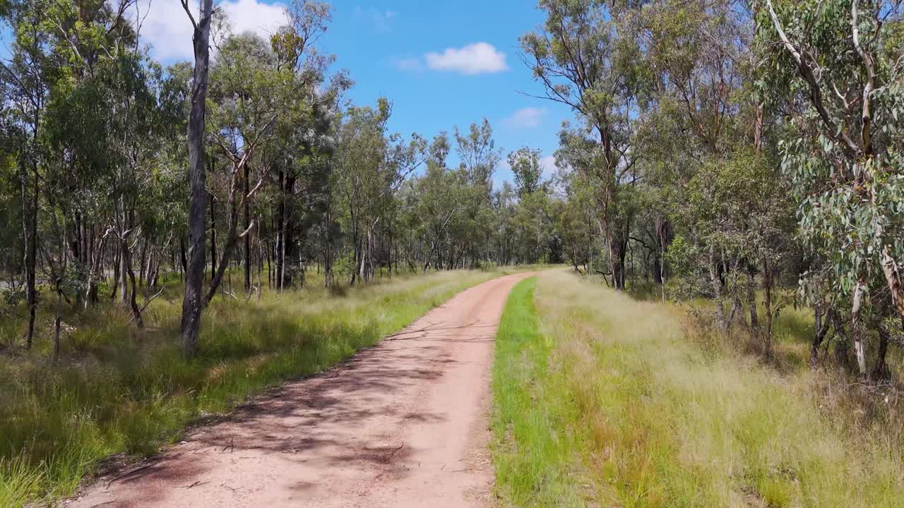 A winding dirt road in sunny Australian bushland