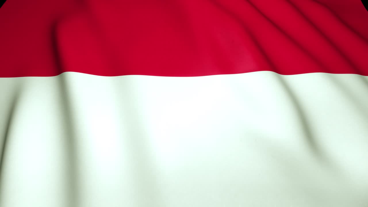 현실적인 모나코의 발을 4k로 흔들고, 루프 애니메이션