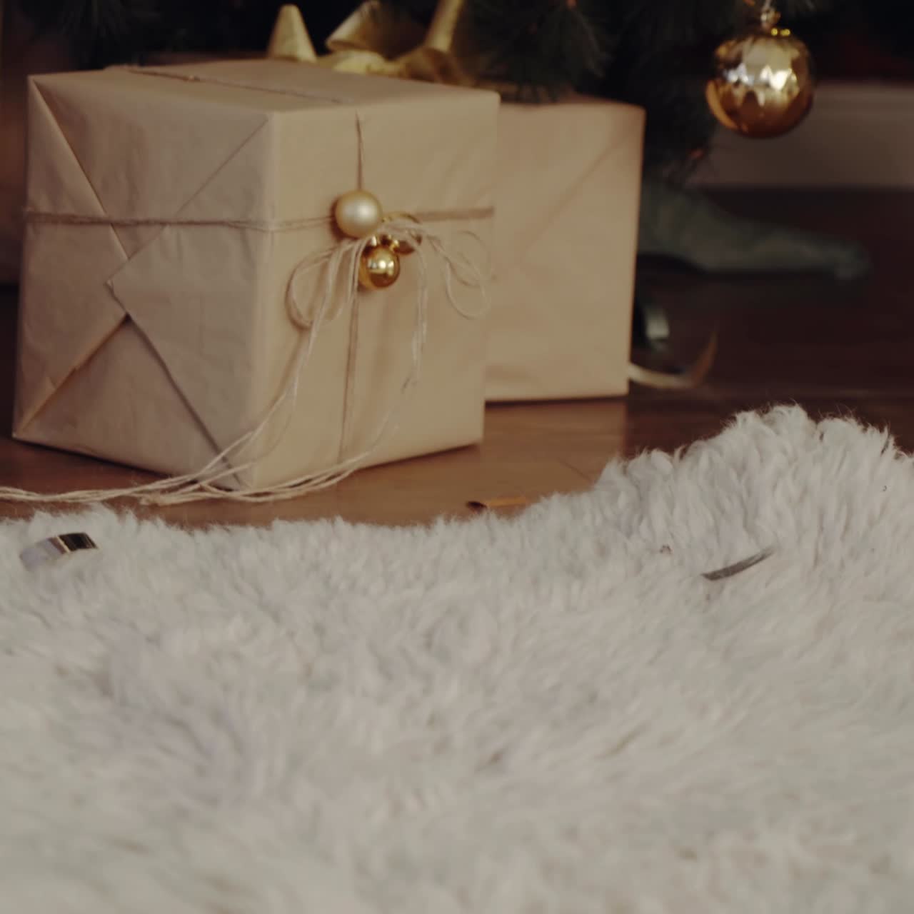 선물 을 들인 여자