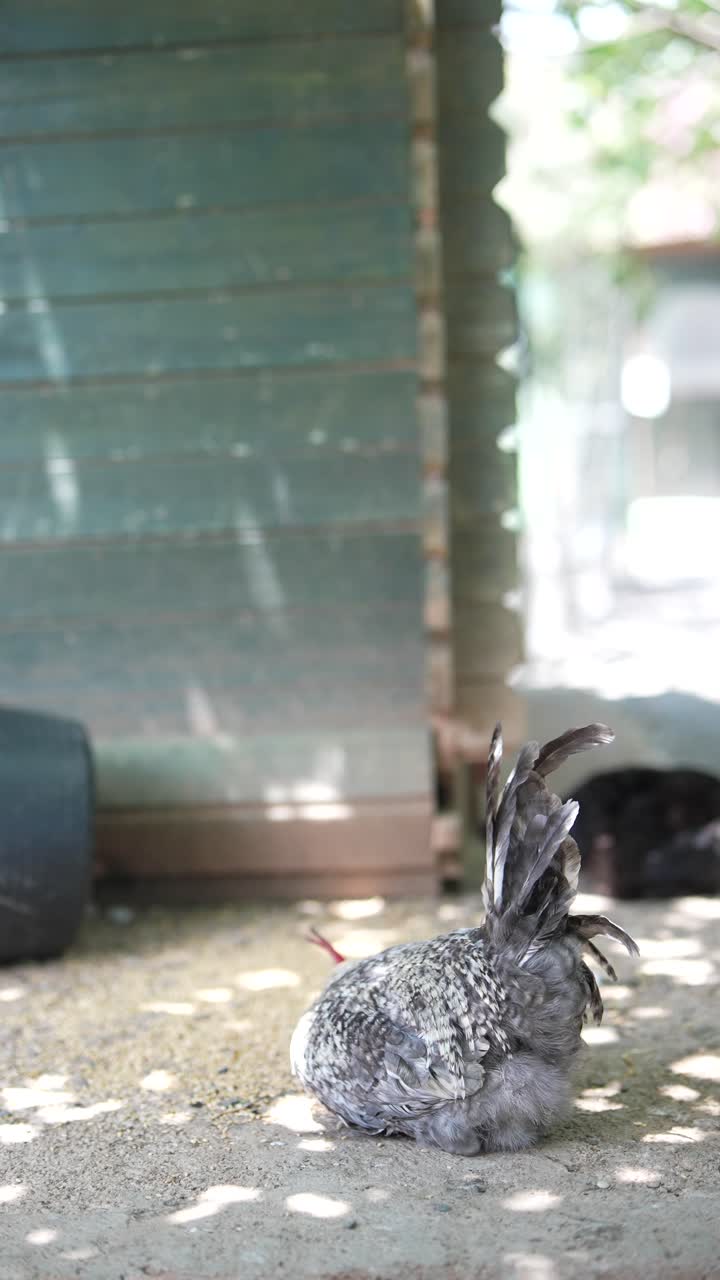 집에서 휴식을 취하는