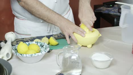 chef squeeze yellow lemon with squeezer preparing juice