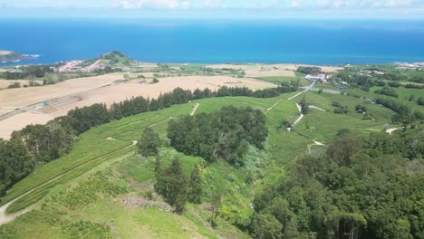 Forward-aerial-of-tea-plantation-and-open-ocean-at-São-Miguel,-Azores