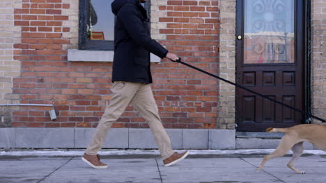 Man-walks-dog-down-city-street-in-winter---side-profile