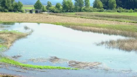 aerial over partially flooded field in countryside in slovenia