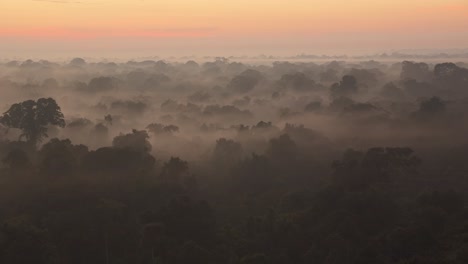 Pan-Lento-De-Izquierda-A-Derecha-De-La-Reserva-Nacional-De-Tambopata-Cubierto-De-Niebla-Al-Amanecer