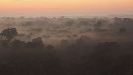 slow left to right pan of tambopata national reserve covered in mist at dawn