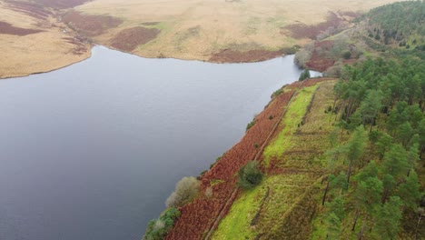 Aerial-View-of-Reservoir-moving-sideways-to-Forets-Tree-Plantation-Deforestation-in-Wales-UK---Drone-shot-4K