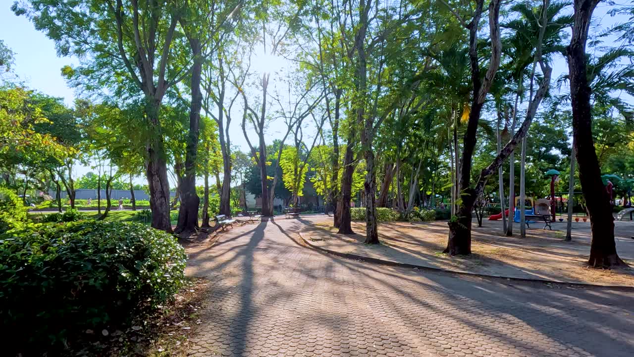 A tranquil pathway in Rama 9 Park, Bangkok, with sunlight filtering through lush trees, creating a peaceful atmosphere