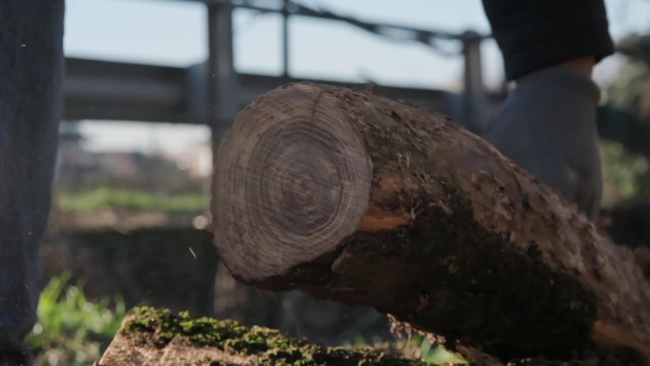 primer plano de las manos de un leñador moviendo un trozo de madera después de cortar con motosierra en el bosque
