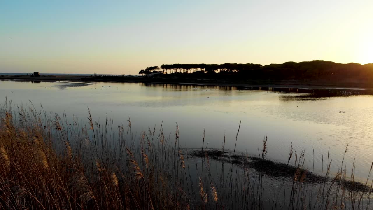 Tramonto su un lago dietro pini in Algarve 5.