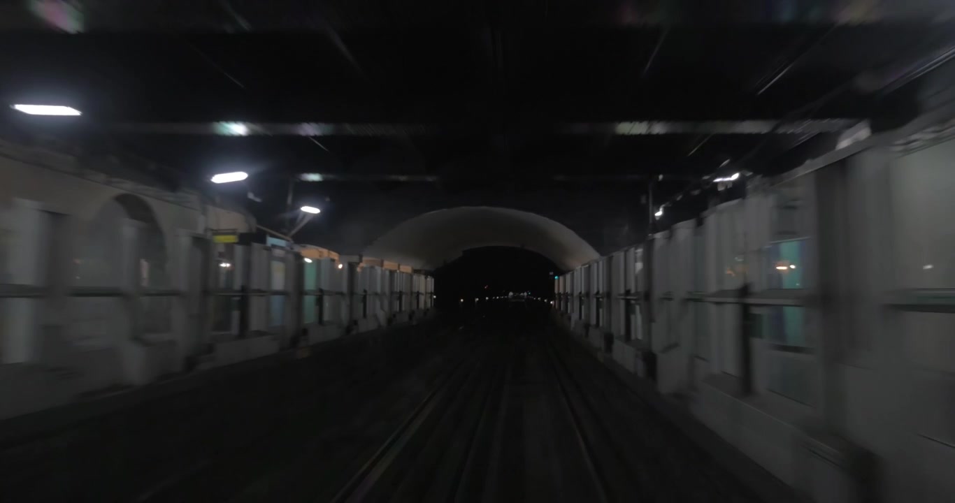 Treno in movimento attraverso un tunnel e in arrivo in stazione