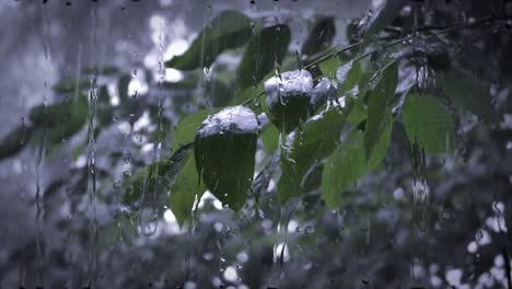 heavy rain shower downpour cloudburst rainfall.