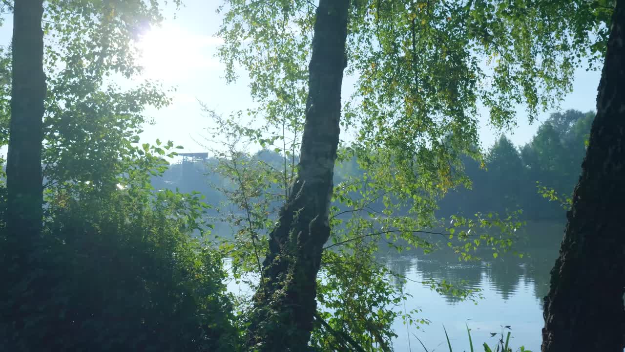 Picturesque view of a lake surrounded by trees