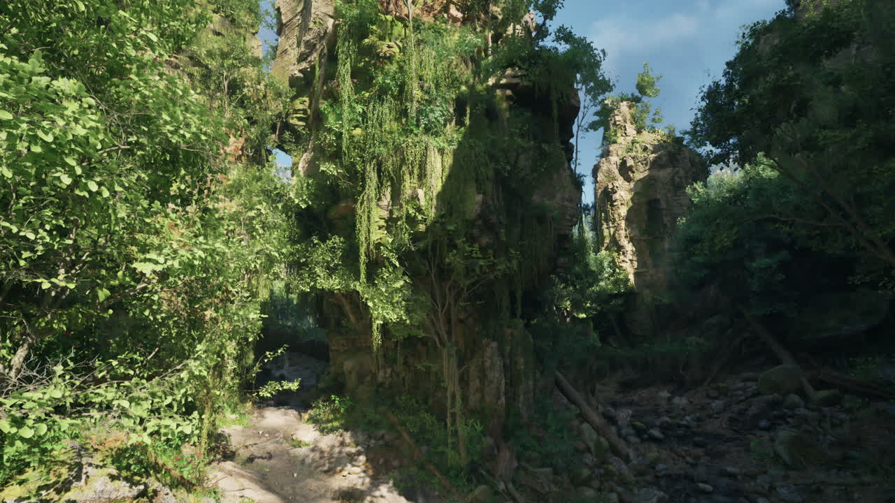 река течет через зеленый лес в потрясающей новой зеландии горной тропе