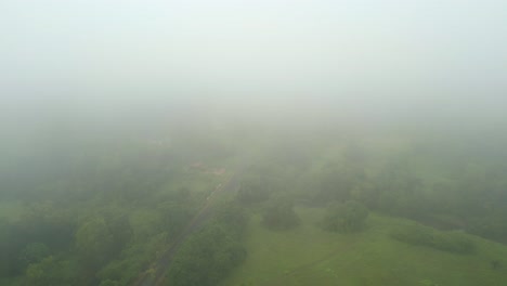 Mañana-Hermosa-Vista-Del-Bosque-Drone-En-La-Niebla