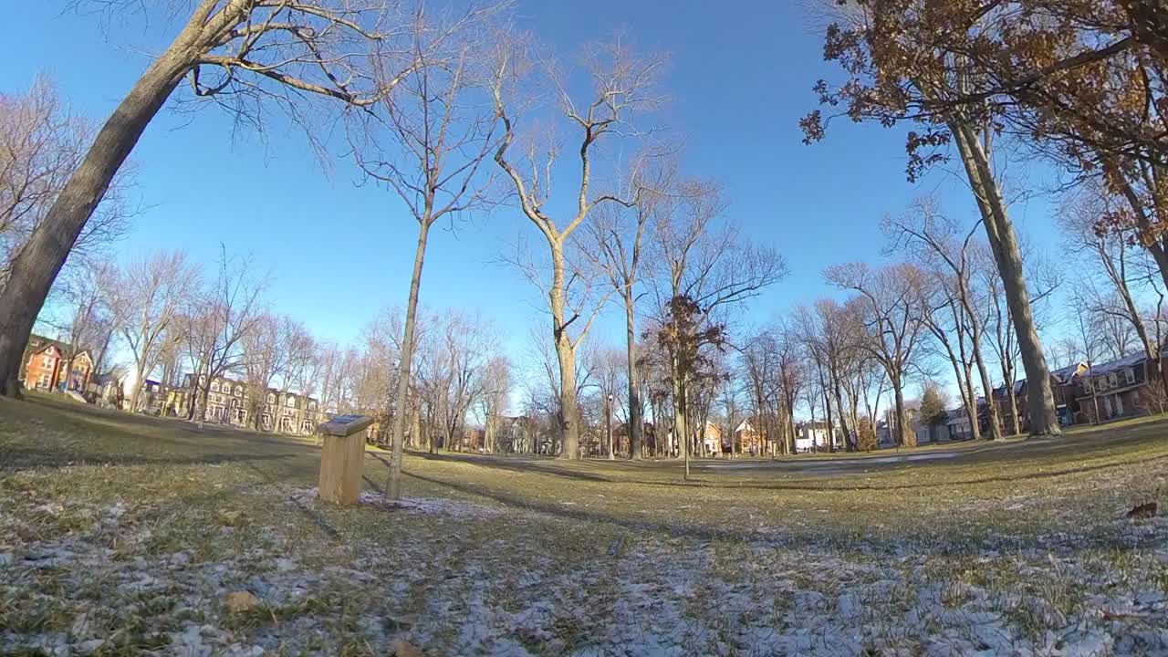 공원에서 통로 산책, 낮 시간 - 짐벌