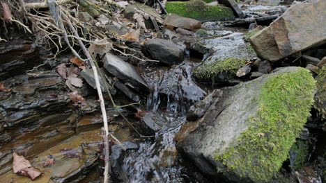 river flowing over moss stones