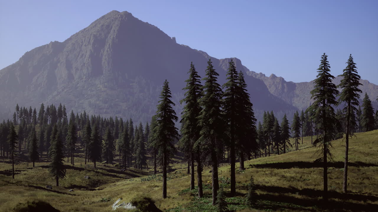 vista expansiva de las montañas y árboles de hoja perenne a la luz del día
