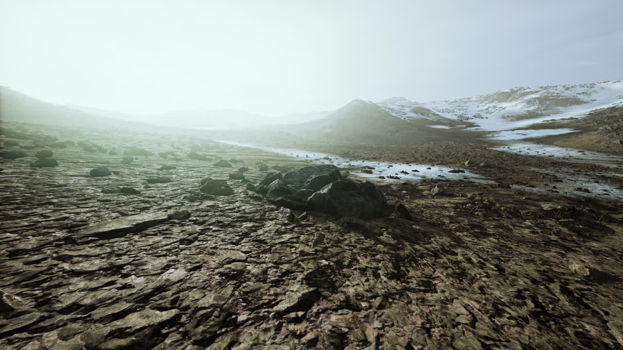 зимний вид в огромном заповеднике эйлат