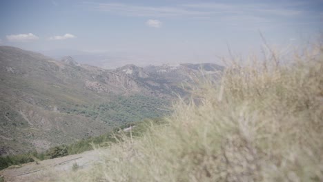 Arid-plants-and-mountains-with-blue-sky