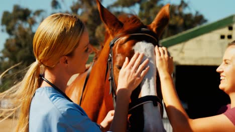 veterinarian doctor interacting with woman 4k