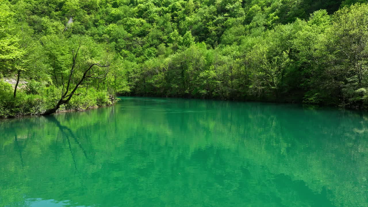 claro río verde fluye a través de un bosque lleno de hojas frescas de primavera, capturado desde arriba