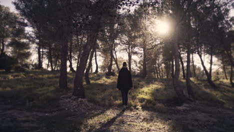 a girl walking in a forest of pine trees