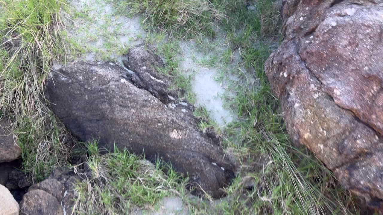 caminando entre las rocas en una isla salvaje en un día soleado