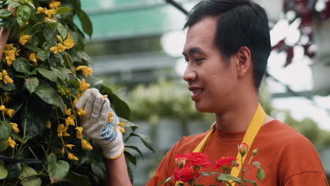 jardinero que trabaja en interiores