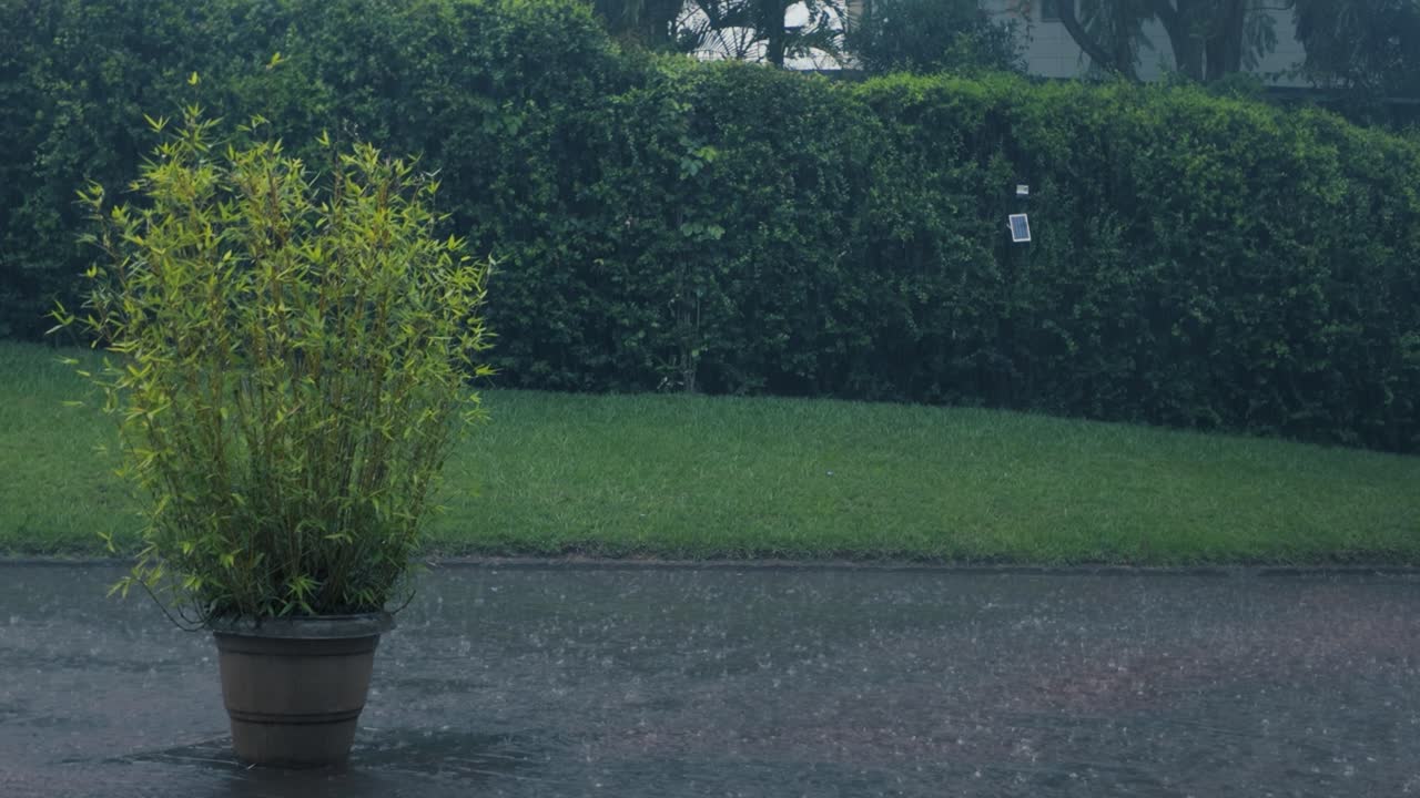 조용한 정원에서 비가 오는 저녁