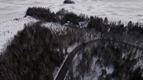 camino vacío en el bosque cerca del lago de invierno congelado