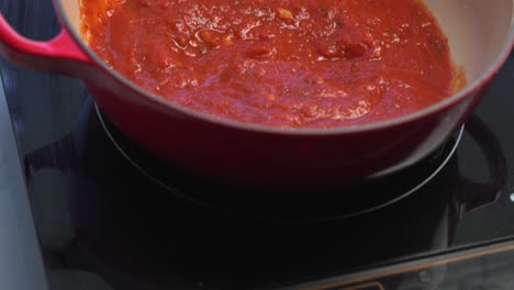 making delicious tomato sauce in a red pot