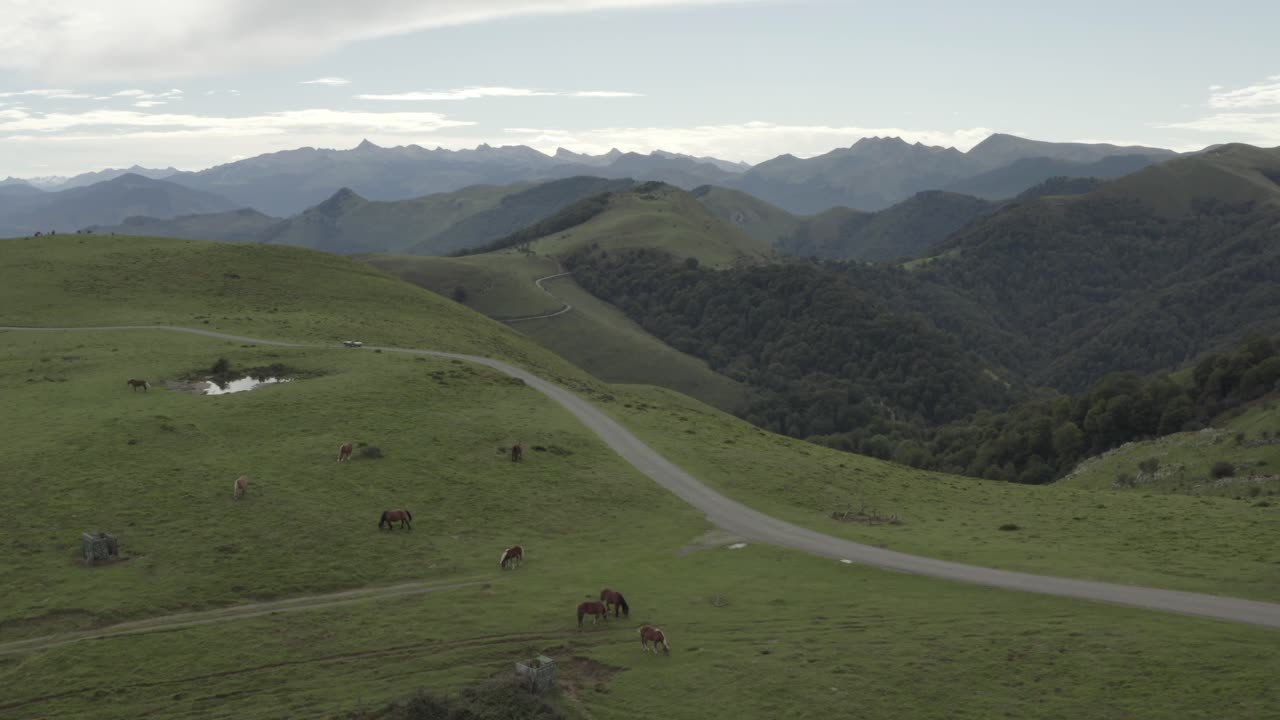 Cavalli selvaggi che pascolano nei campi verdi del Col Inharpu con catena montuosa sullo sfondo, Pirenei Baschi, Francia