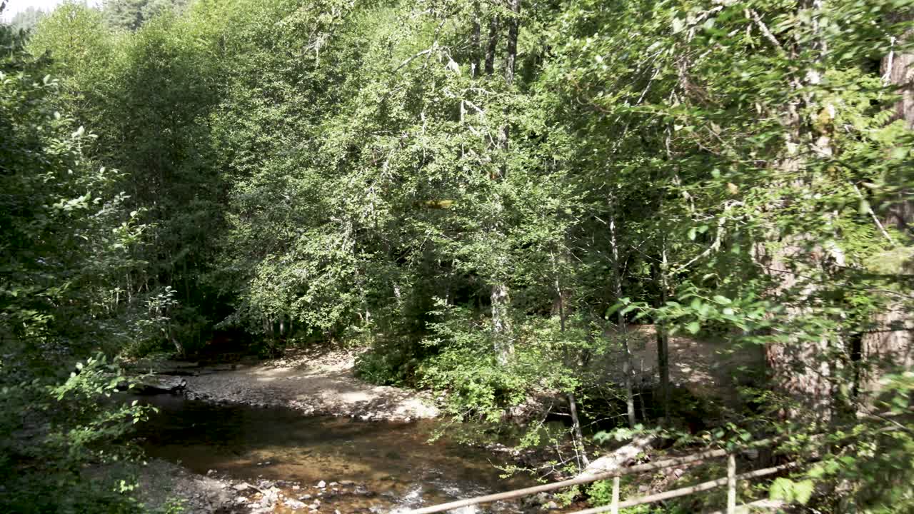 pasando por un pequeño puente rústico de madera que cruza un arroyo de montaña escondido, antena