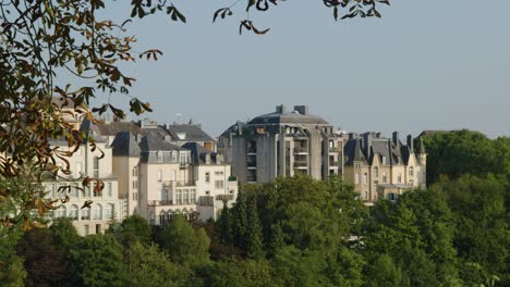 Static wide shot of city buildings and treetops, soft daylight, minimal camera movement, tranquil atmosphere