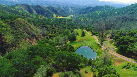 4k 29 fps drone footage di una terra di bestiame con uno stagno