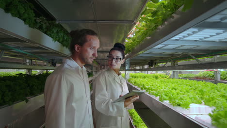 modern scientists are engaged in genetic engineering in the modern production of vegitarian products. modern farm for automated production of vegetables