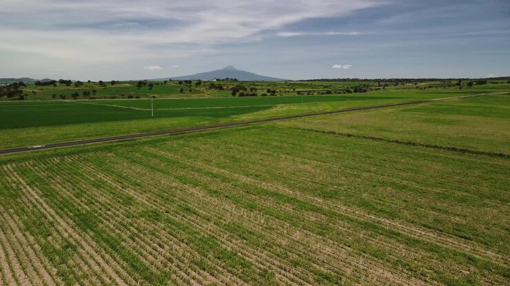 Drone captures the aerial view of the Malinche volcano can be seen in the distance behind the green fields of Tlaxcala, Mexico, which are covered with dense green vegetation