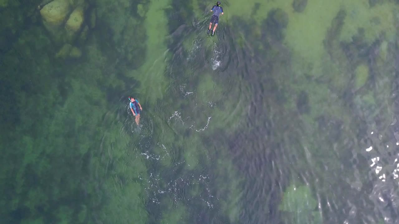 몇 스노클링의 공중 무인 항공기보기