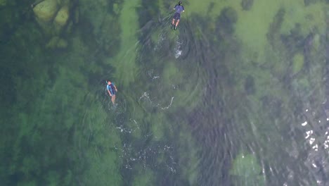 aerial drone view of a couple snorkeling in