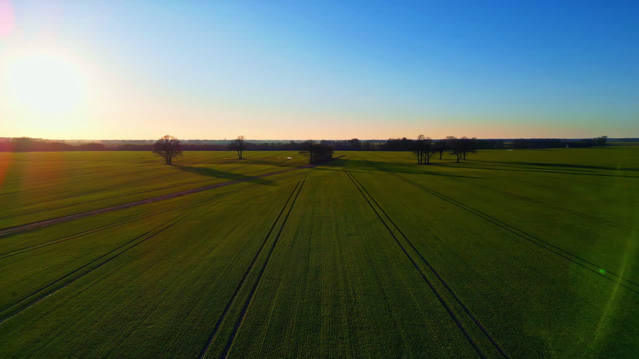 Langsame, malerische Luftaufnahme einer ländlichen Landschaft mit dunkelgrünen, offenen Feldern an einem sonnigen Tag mit blauem Himmel.