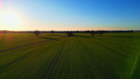 Lento-Escénico-Aéreo-Verde-Oscuro-Campo-Abierto-Soleado-Cielo-Azul-Día-Paisaje-Rural