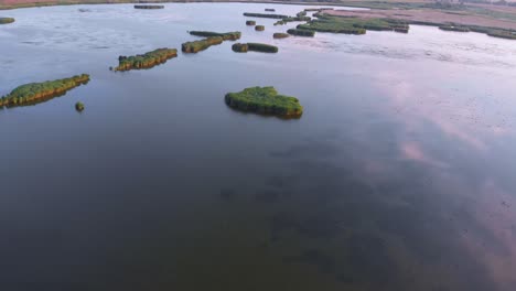 aerial shot over nature reserve wetlands with small vegetation island and migratory birds on water