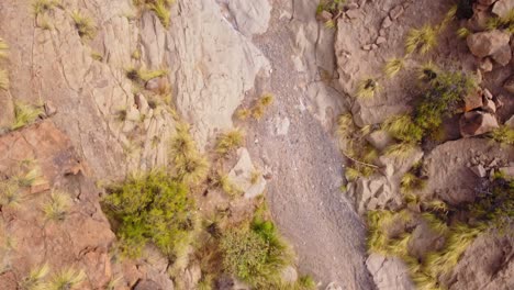 riverbed dry dirt drought in australia outback desertification